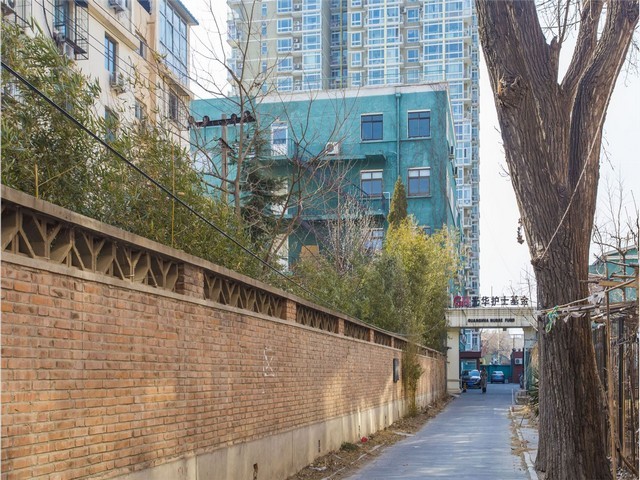 山东跨国货代市场价